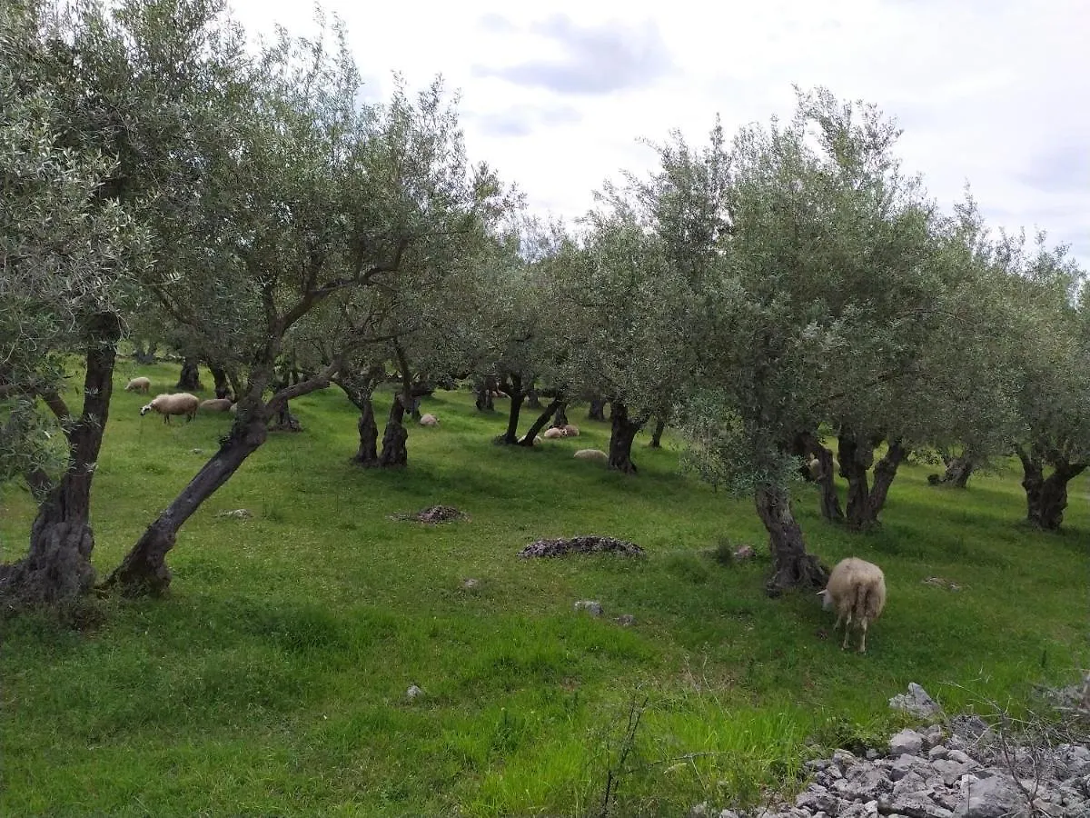Prima Insula Glamping Hotel Brusici